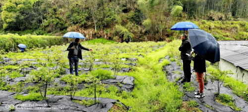 安徽太湖：发挥本土专家特长，助力乡村振兴(图2)