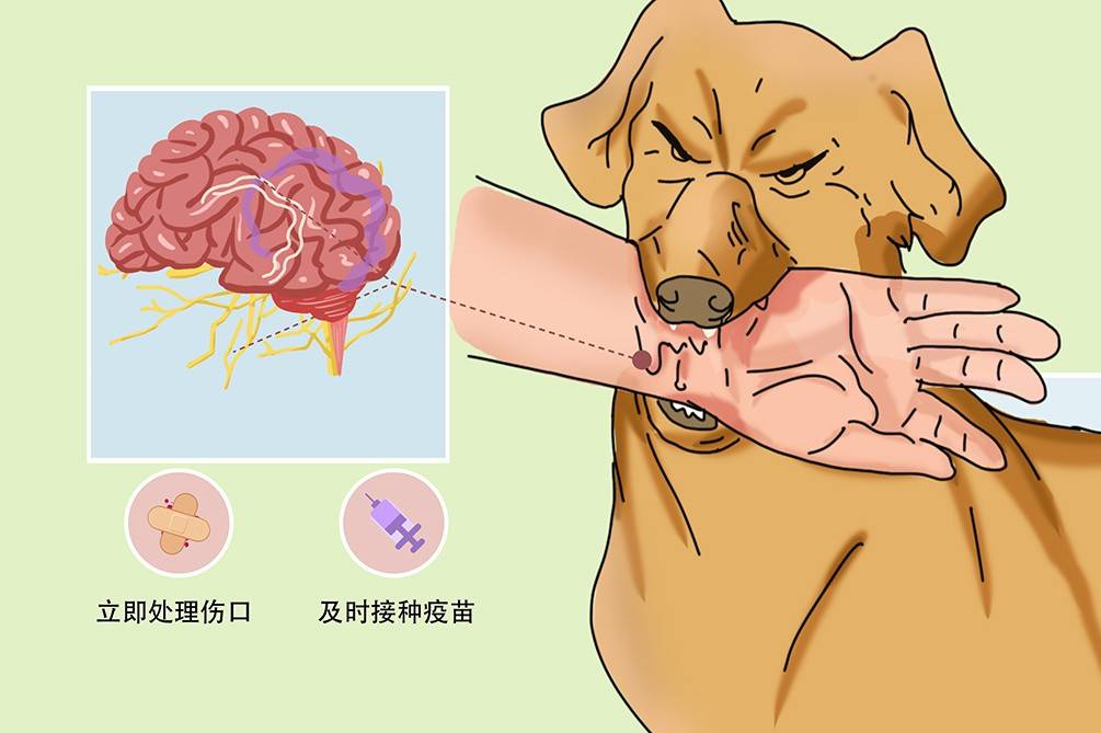 动物被伤害的图片动漫图片