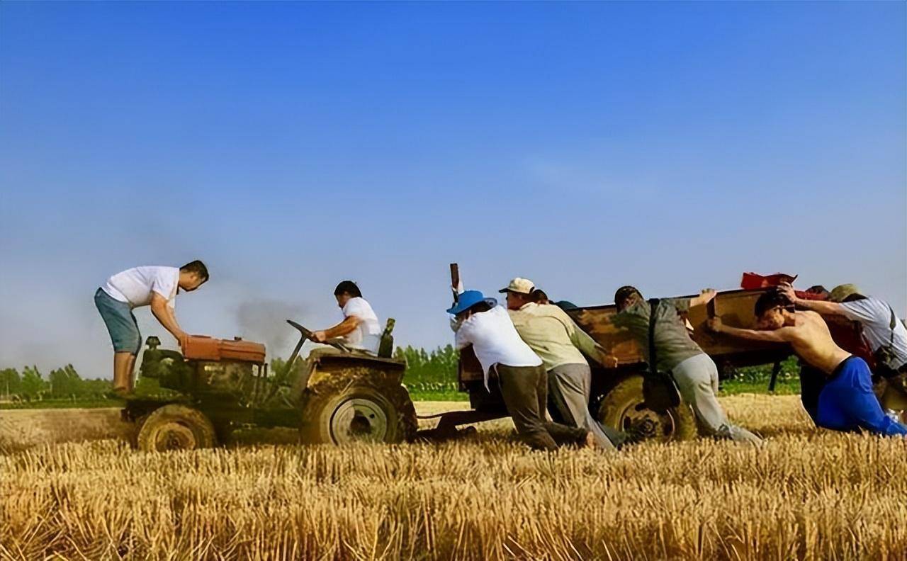 5亿多农民收入低下,有内行人建议恢复农业税,农民到底该如何致富_农村