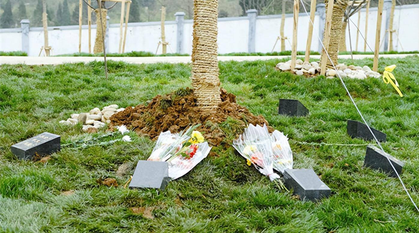 男子将父亲骨灰撒入大海被捕!