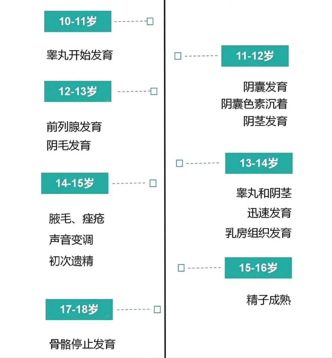 8-16岁必看】抓住青春期长高的最后关键期,最多能长25cm以上!