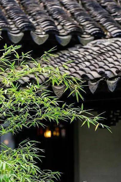 12个技巧教你!_画面_摄影_意境