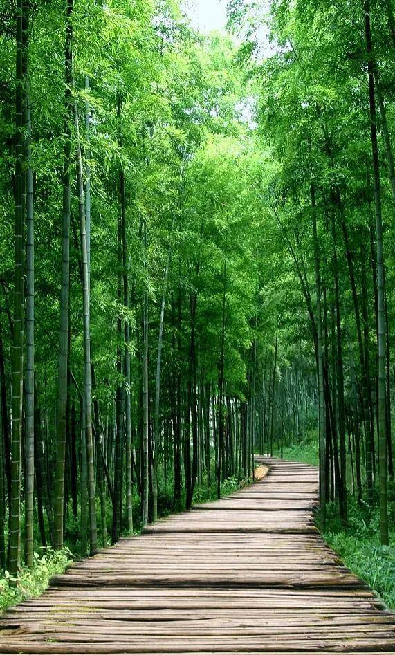 画面_摄影_意境