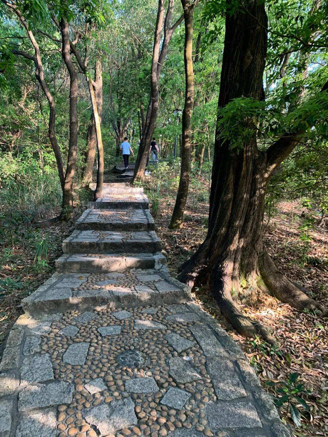 深圳登山好去处,周末踏青,安排!_小时_建议_主峰