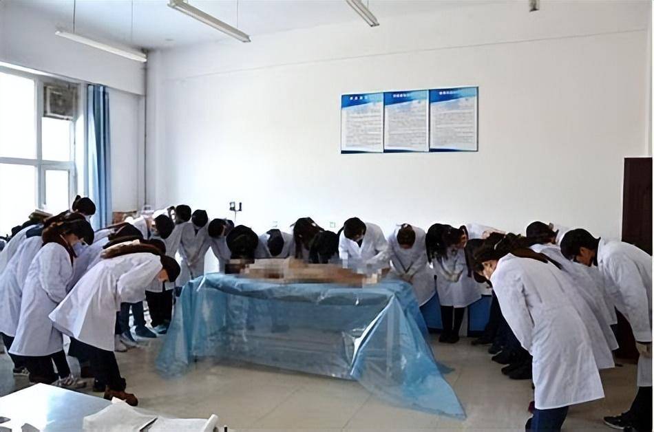 大体老师:用一份无私的爱传承生命的意义!_医学生_遗体_功能