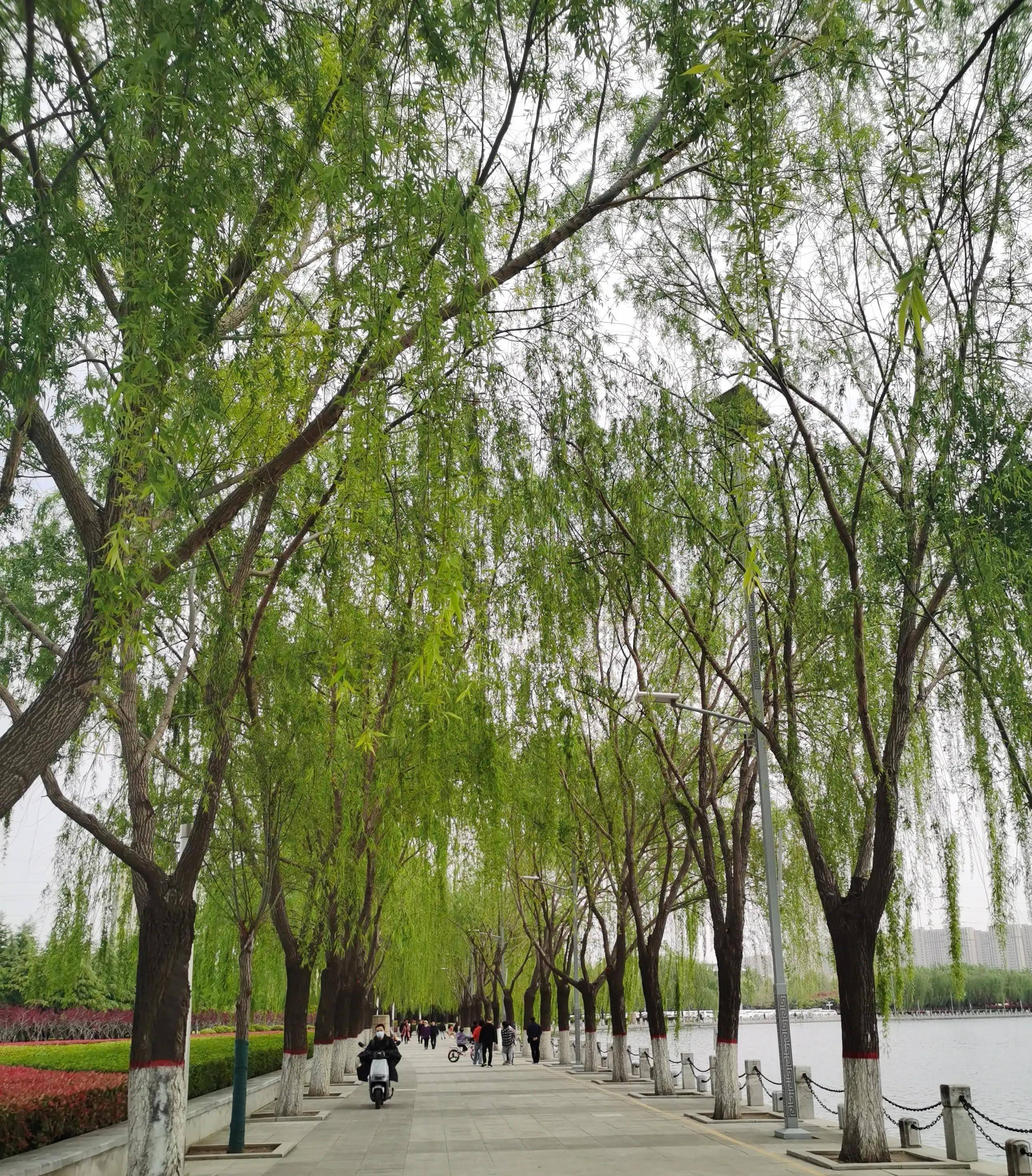 郑州须水河滨河公园图片