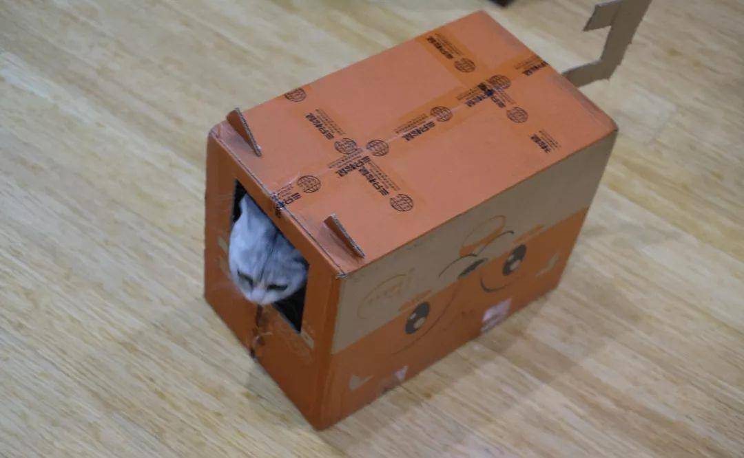 纸箱是她最爱的玩具,没有之一,这只纸箱是老陈用三只松鼠的快递箱做的