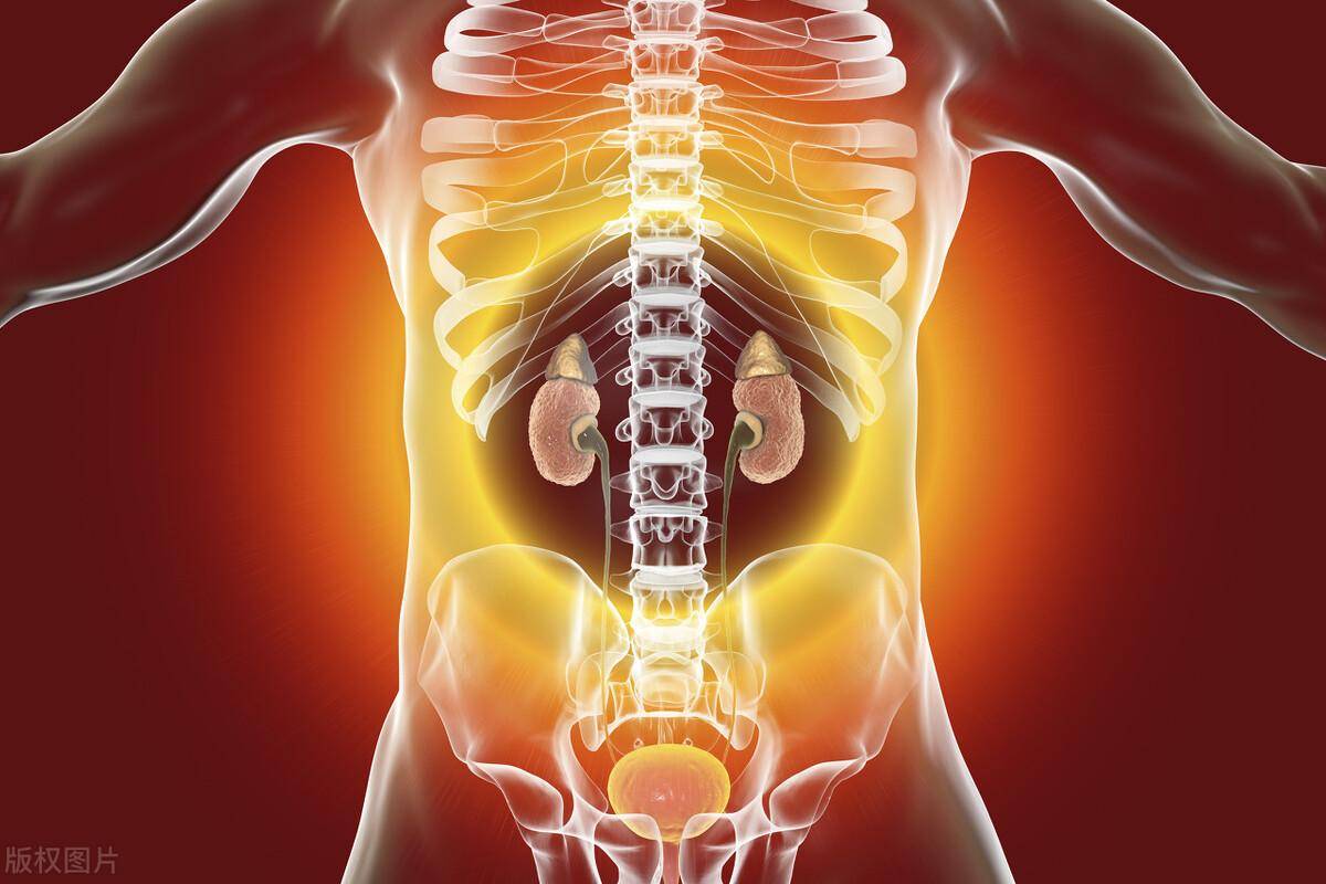肾脏问题引起的后背疼痛有很多种原因