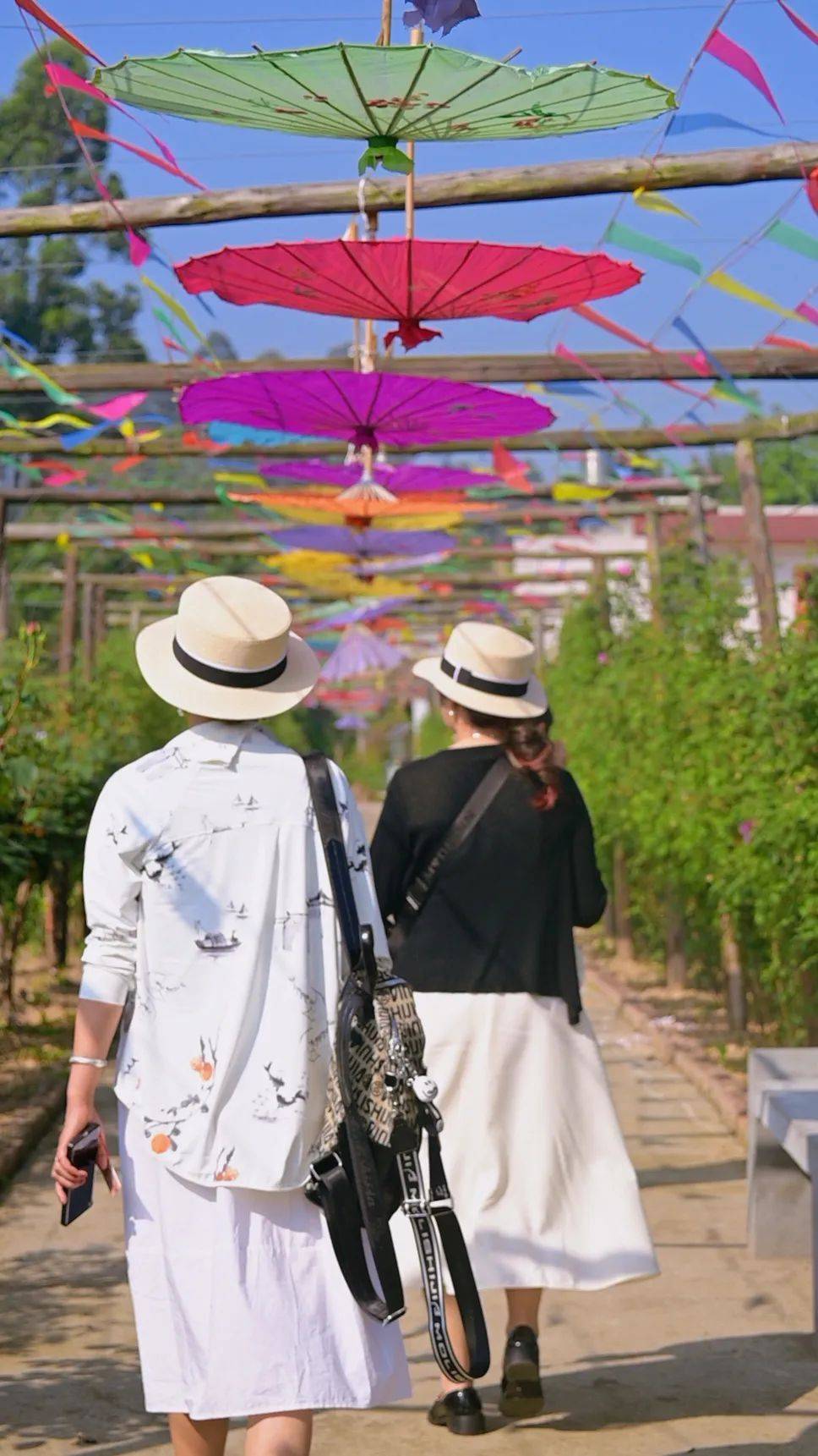 门票免费送!_玫瑰庄园_土主镇_土门子