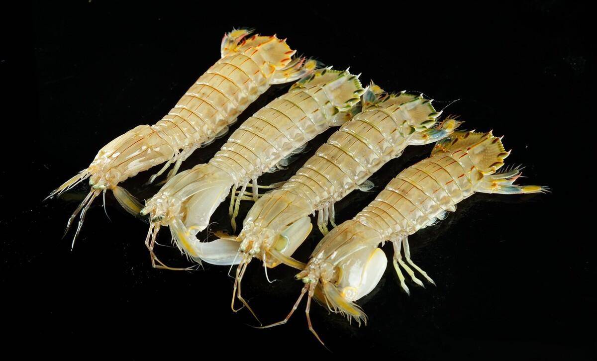 活皮皮虾变蹬腿虾,市场监管:不存在调包情况_顾客_时候_袋子