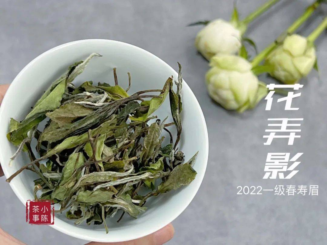 寿眉是什么茶（收藏白茶，为何老茶客更喜欢寿眉）