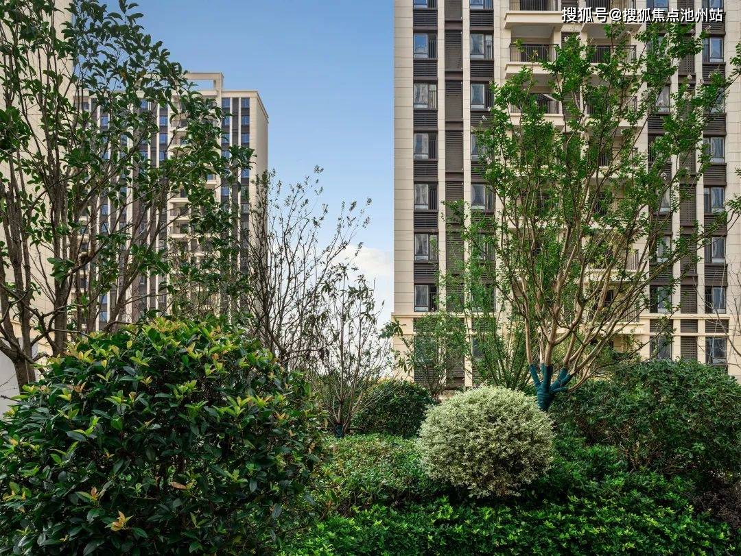 太仓景瑞悦庭售楼处电话400-100-1299转接9888景瑞悦庭售楼部_24小时