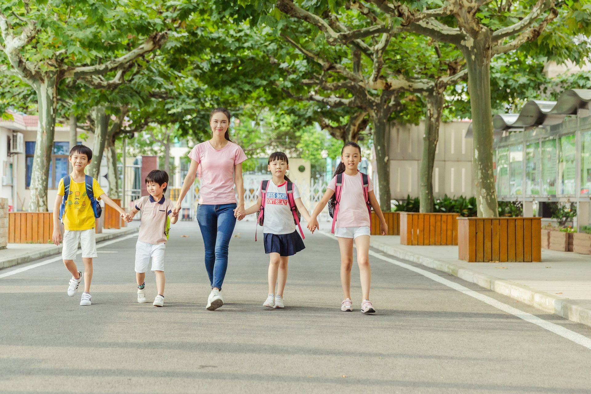 干货分享（小学成绩查询网站）合肥市小学生成绩 第3张