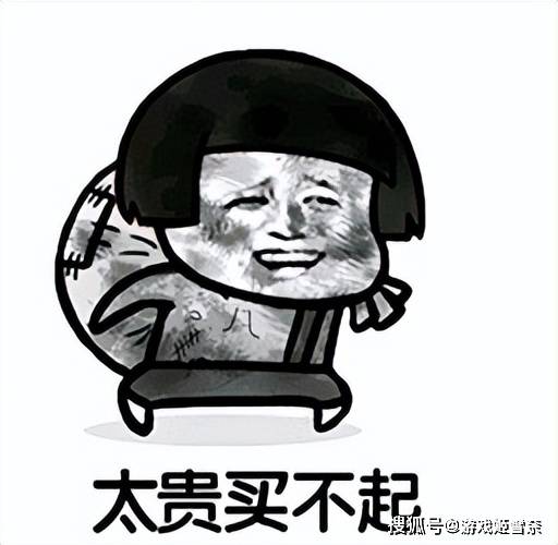 图片[2]-游戏奇闻：一件时装卖100万人民币,不带任何属性,玩家却拍手称赞-