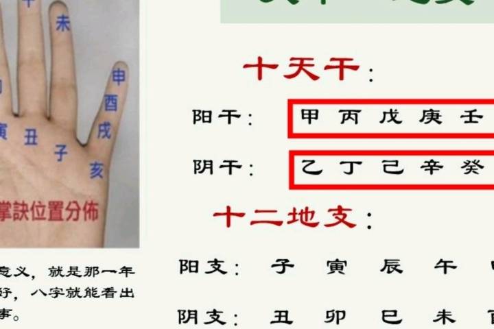 紫薇斗术天干地支四柱分亨_搜狐网