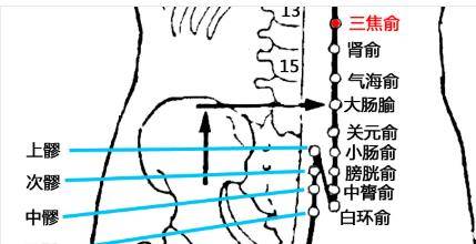 最完整的经络笔记“足太阳膀胱经”_治疗_主治_故名