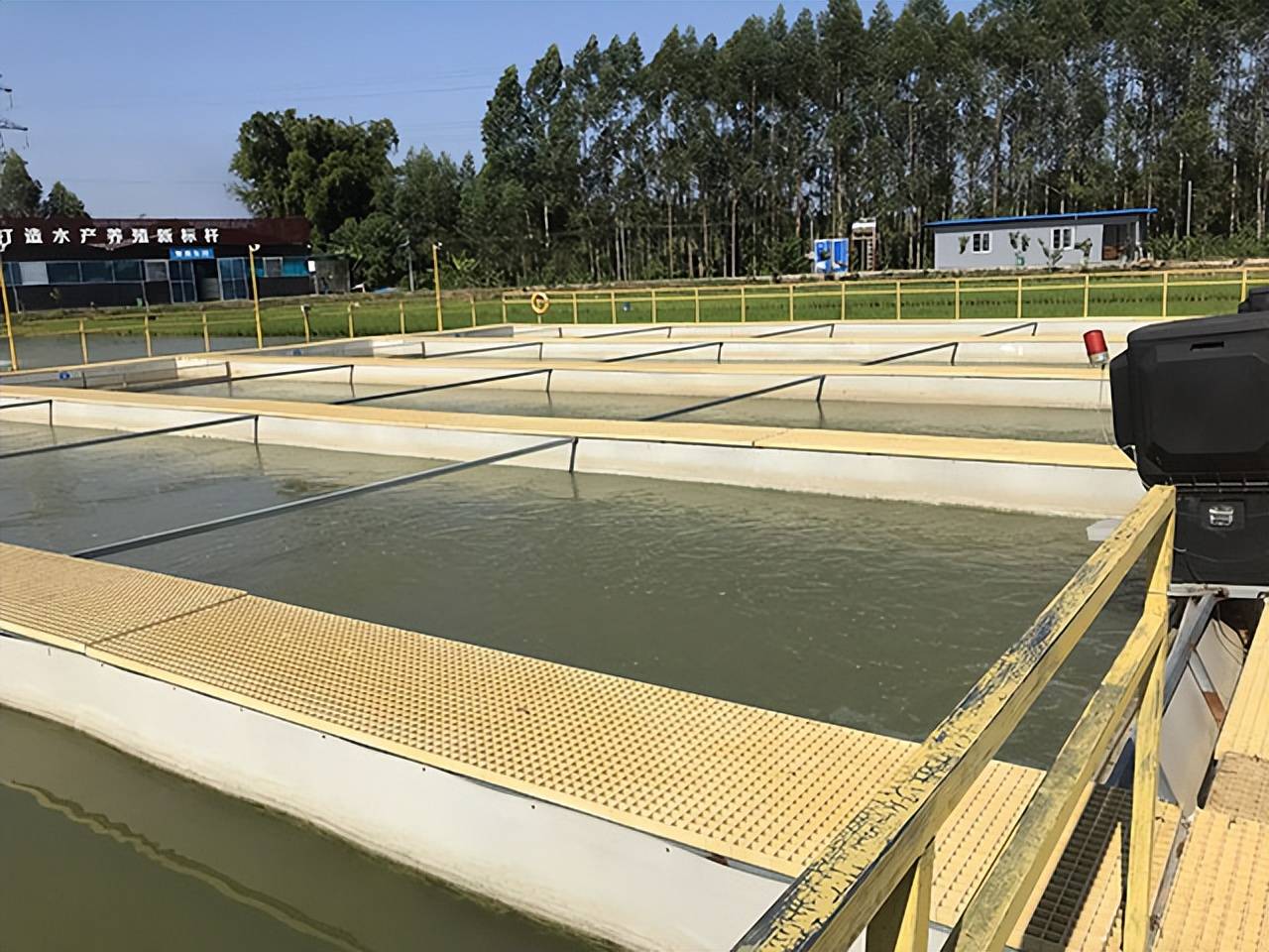 养殖_进行_池塘