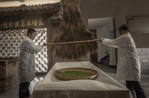 蓝焙恩施玉露:传承百年的蒸青工艺_炉盘_茶叶_时间