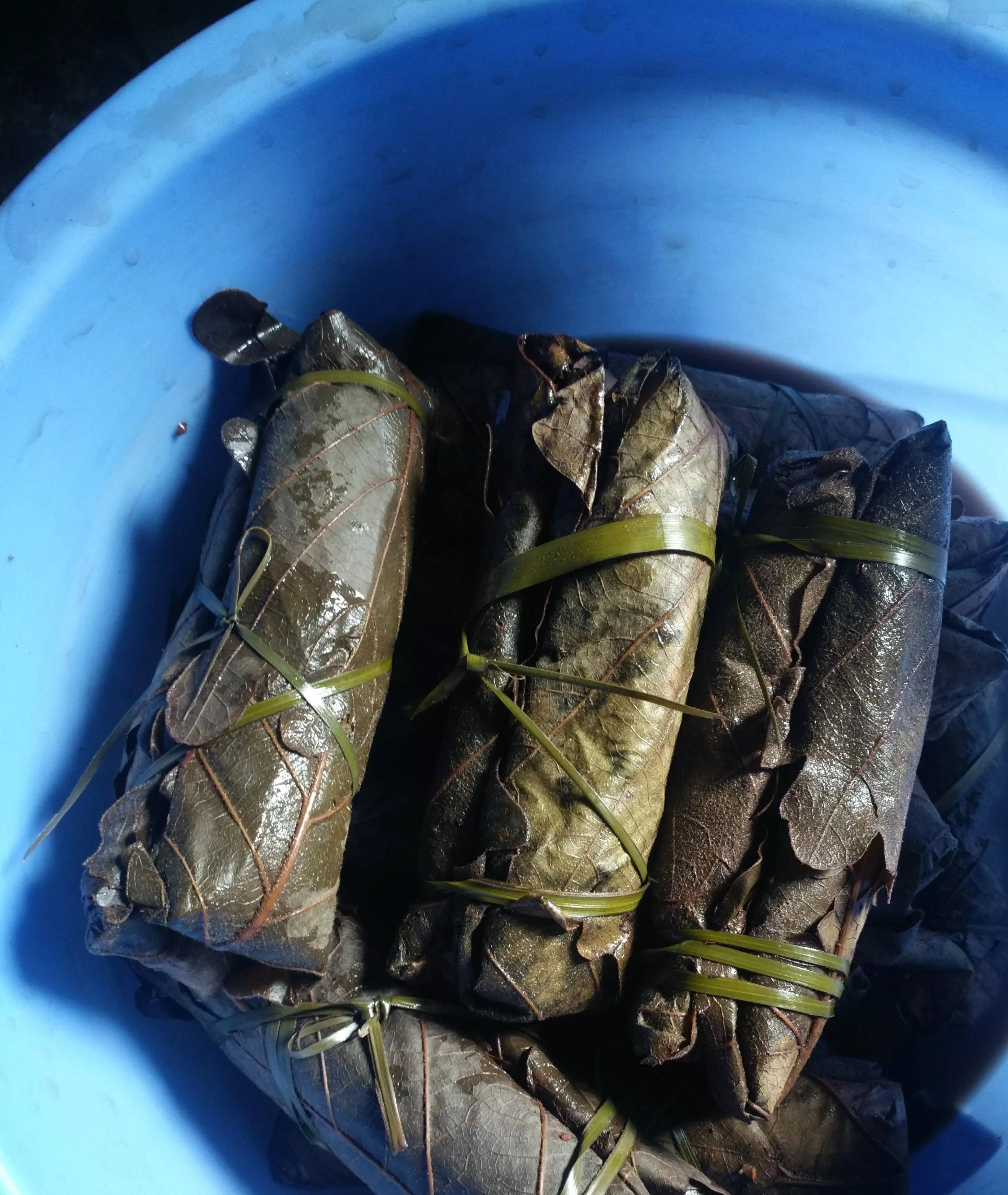 家乡的美食――胡叶粽子_叶子_人们_椭圆形