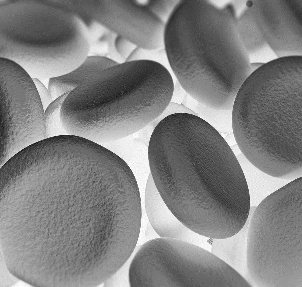 纤维蛋白胶是一种止血材料 2023-2028年市场发展潜力大_凝血酶_应用