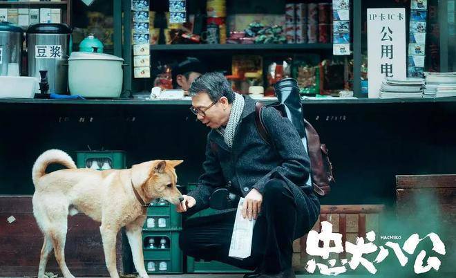 《忠犬八公》:三个版本各有千秋,但折射出人们对忠诚的渴望_故事_影片_上野