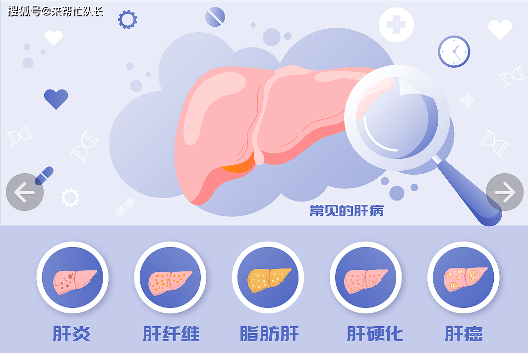 急性肝炎,药物中毒性肝坏死,肝癌,肝硬化,慢性肝炎,心肌炎,胸膜炎