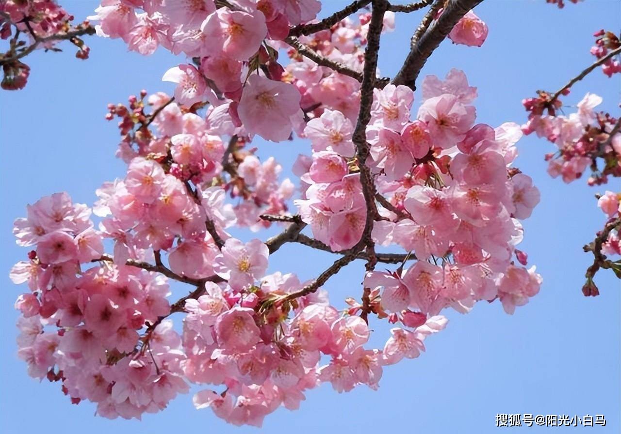 四月之后,天赐吉兆,好运回归,财源广进,横财大发,万事大吉_双子座