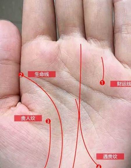 有遇贵纹的朋友天生福气伴身,好运常在,运势一向不俗.