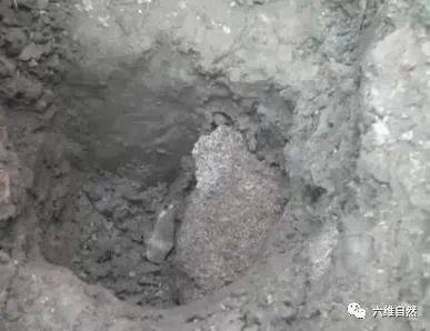 连白蚁都堕落了，浙江一大坝挖出巨型蚁巢，罕见现一蚁王和三蚁后（大坝白蚁治理价格）