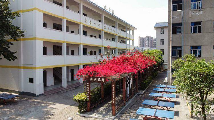 夹江县漹城镇第三小学校2023年一年级招生简章_户籍_子女_城区