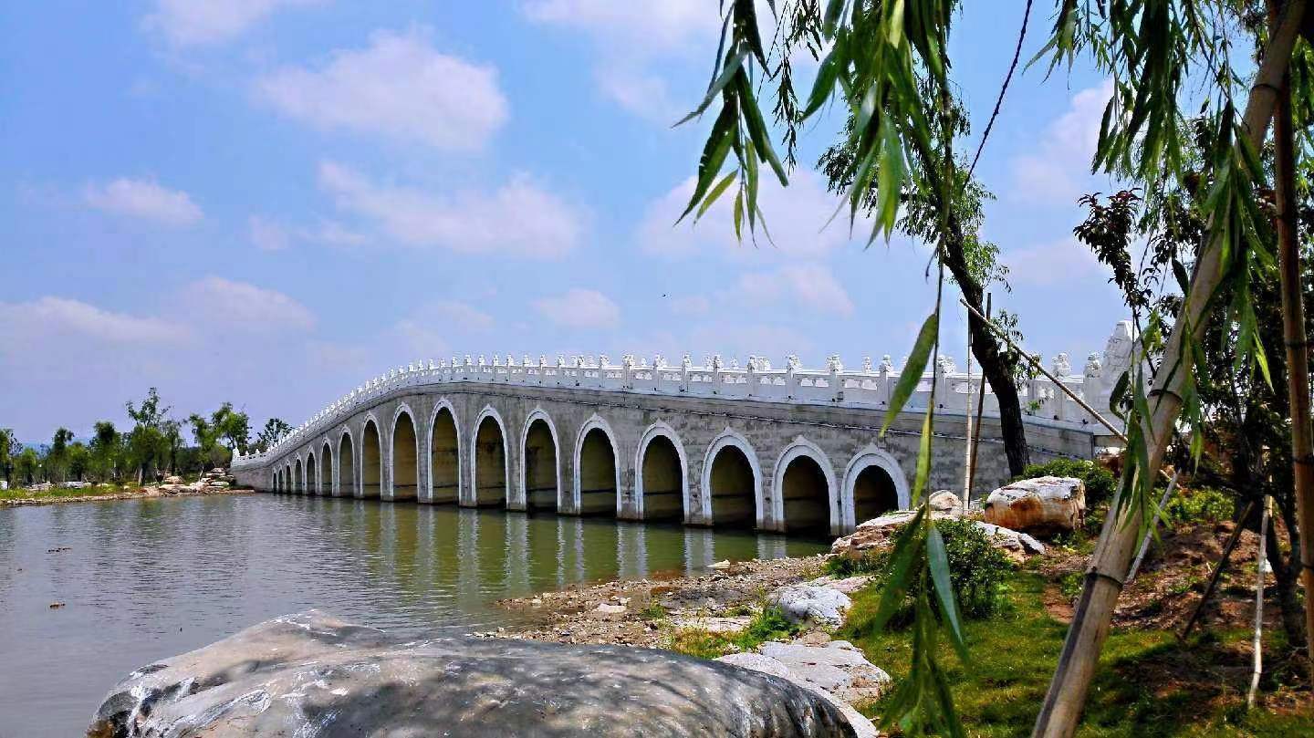 城中湖的水鸡_淮北_荷叶_谭湖