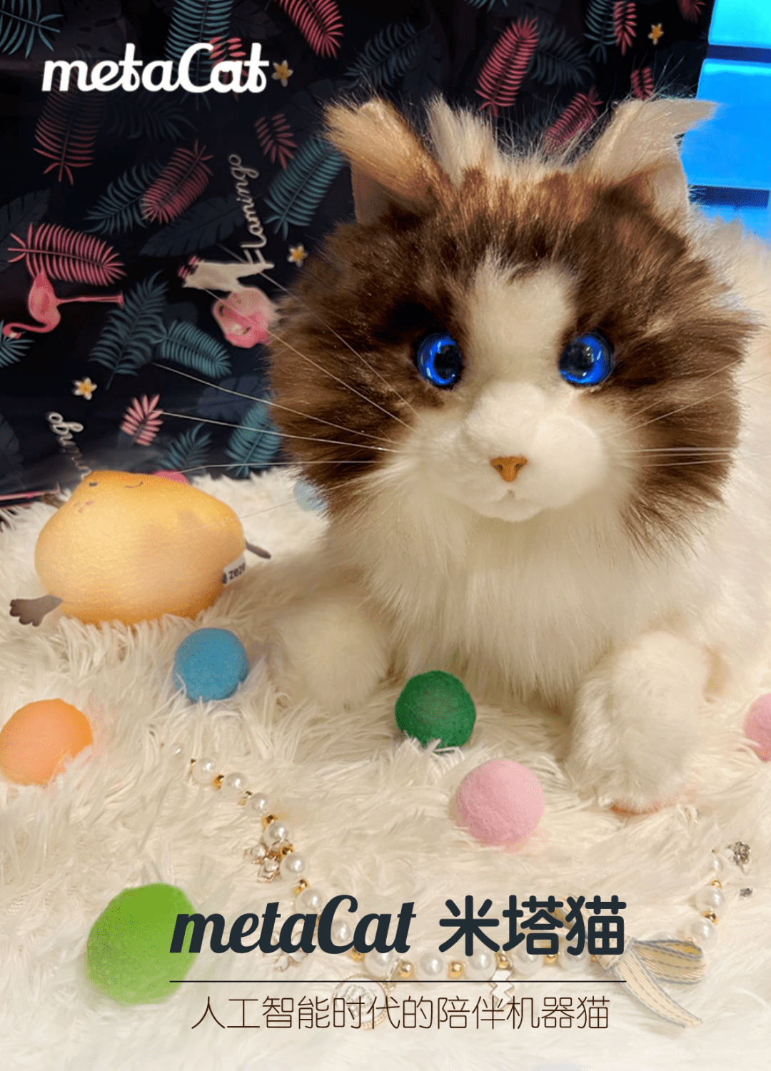 大象机器人:超萌metacat米塔猫,硬科技也可以柔软治愈_运动_宠物_用户
