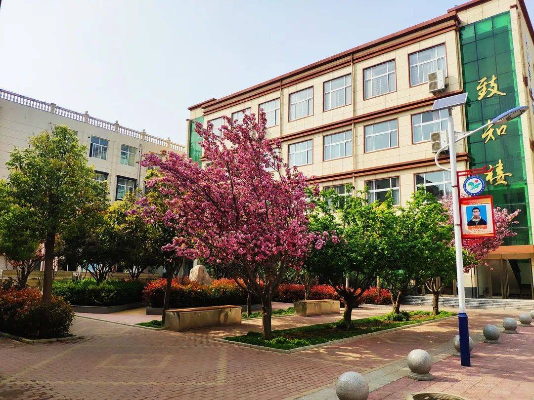 郑州市二批次高中里的"潜力股" -- 郑州二十中!_教学_活动_我校