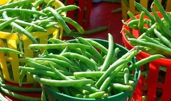 2件事要牢记1,补充养胃1素养胃护胃营养素---西将猴绣粉胃不好的人