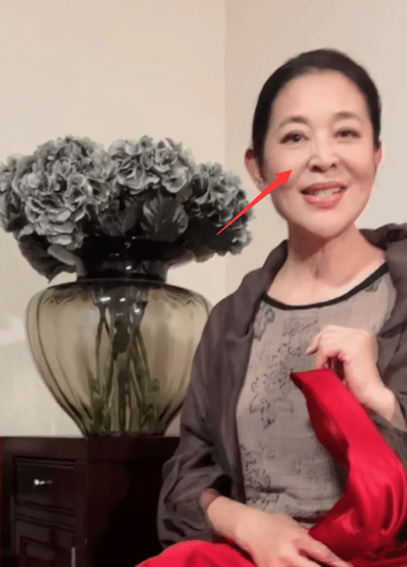 倪萍暴瘦后体重反弹,鼻孔外翻被质疑整容,满脸褶子衰老不少!