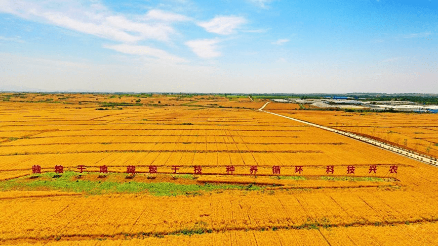 (内乡高标准农田)此外,牧原积极改善农村地区基础设施和文化建设,实现