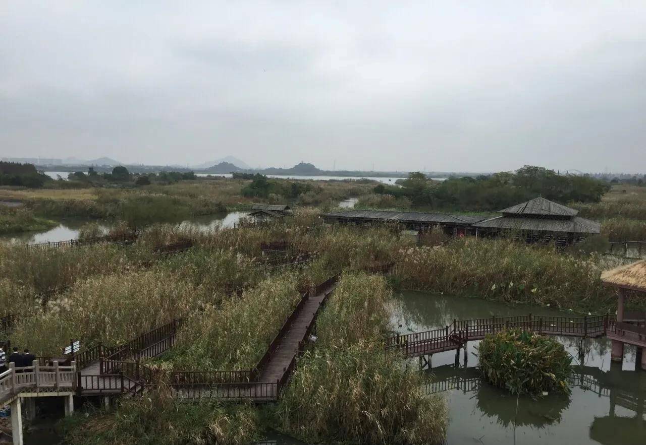 原创            浙江省湖州市下渚湖湿地风景区旅游攻略(下渚湖旅游)