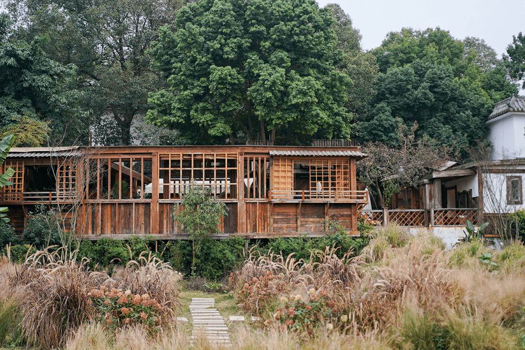 锦江区_成都_三圣乡