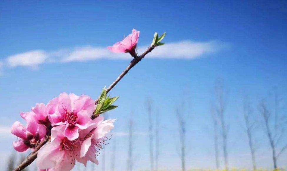 从2023年5月1日到10月初是什么好日子？-2023年五月一号天气怎么样