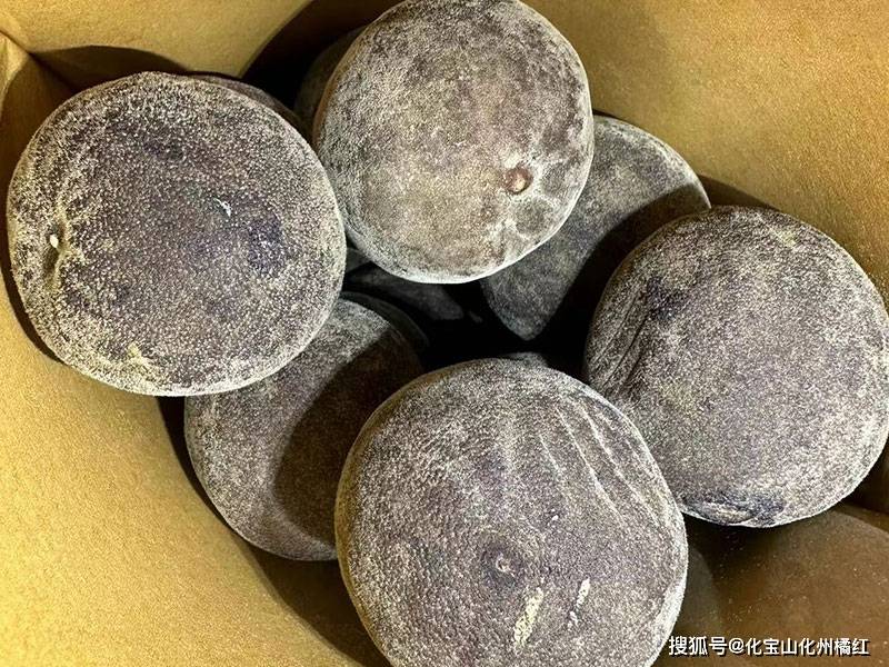 化州橘红价格：20年的化橘红多少钱一斤？（化州橘红最老的牌子是什么）