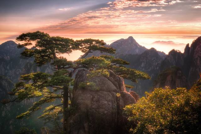 黄山景区游客在厕所过夜原因是未错峰出行？景区还应做些什么？