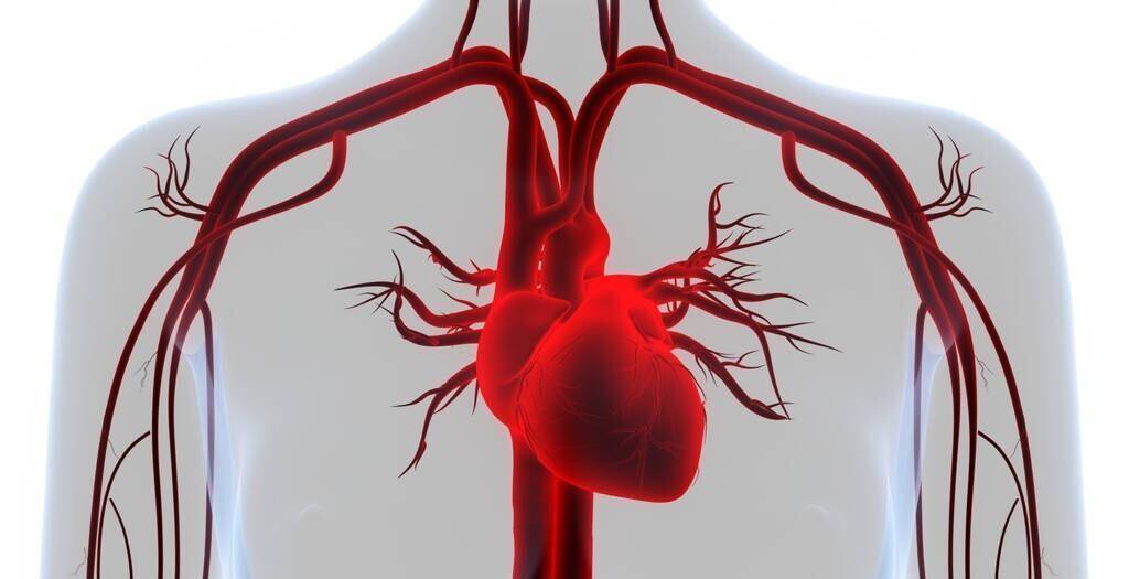 男孩陪妈妈检查意外发现病情,竟悄无声息患上严重的肺源性心脏病_疾病