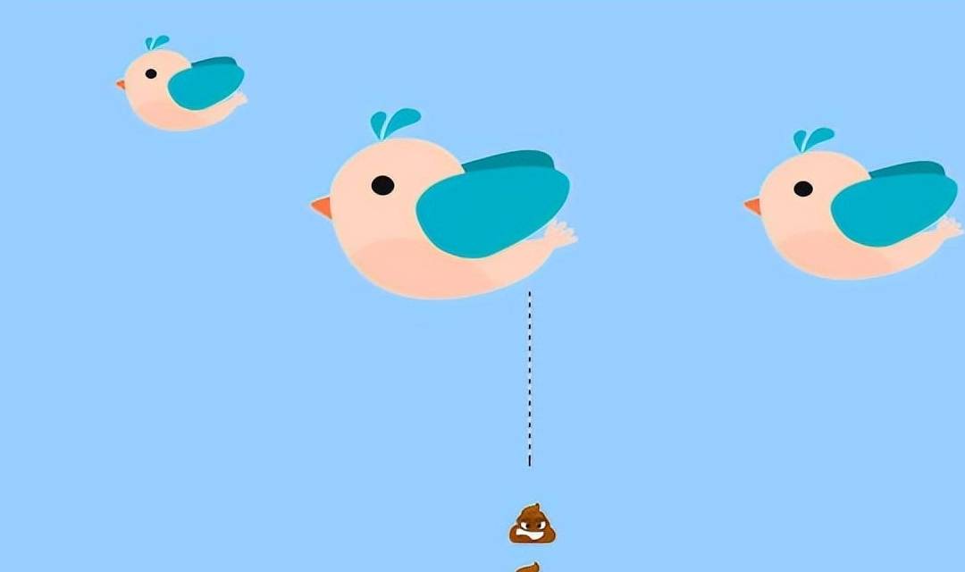 我们甚至怀疑小型鸟类是否有能力消化植物纤维,因为很多鸟类品种的