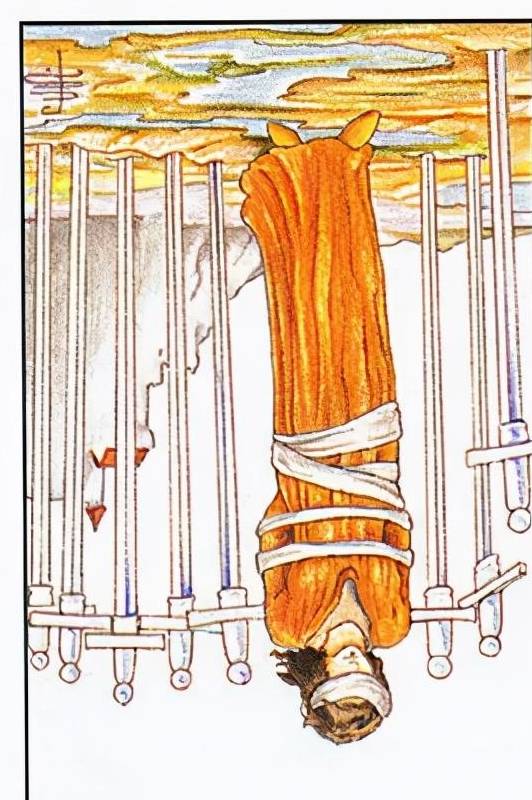 测测塔罗 进来看你近期的爱情发展走向_关系_状态_感情