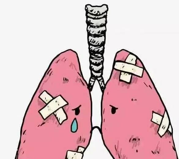 认识肺出血—肾炎综合征_检查_抗体_疾病