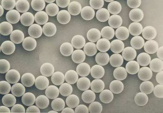 卿美速面向医学美容用纺织基丝素纤维填充材料新研究_产品_公司_上海