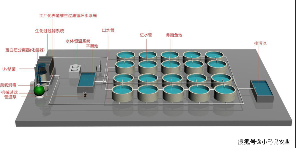 小鱼塘设计图图片