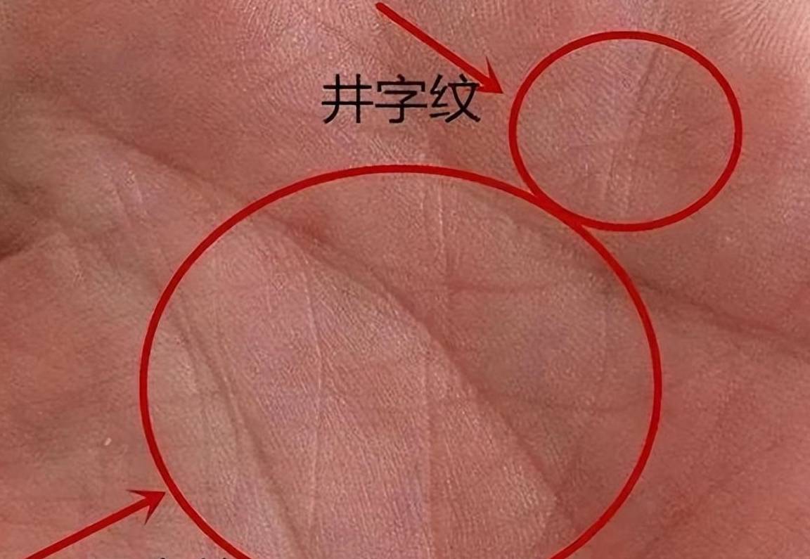 算命先生说:"井字手中纹,横财滚进门",你的手上有吗?_生活_俗语_事业