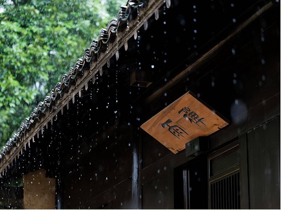 记录雨季的诗情画意!_雨滴_雨水_对焦