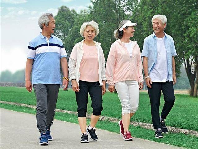 8菜仅一荤卖528元-八个菜几荤几素怎么搭配